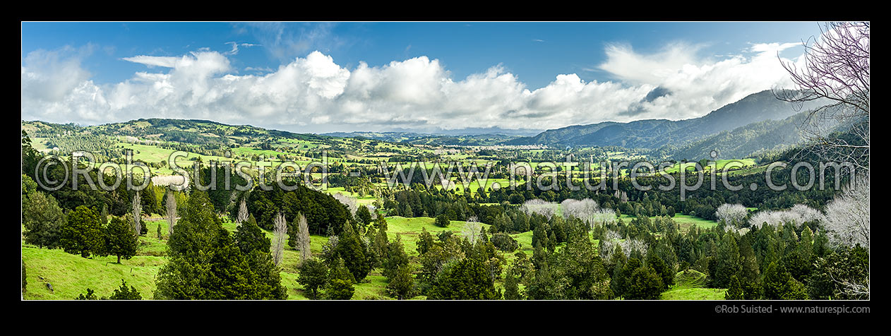 Image of Farmland of the Waihou Valley, looking towards Rangiahua. Remnant trees and forest, with Puketi Forest range on right. Panorama, Waihou Valley, Far North District, Northland Region, New Zealand (NZ) stock photo image