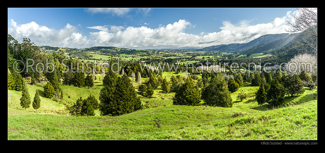 Image of Farmland of the Waihou Valley, looking towards Rangiahua. Remnant trees and forest, with Puketi Forest range on right. Panorama, Waihou Valley, Far North District, Northland Region, New Zealand (NZ) stock photo image