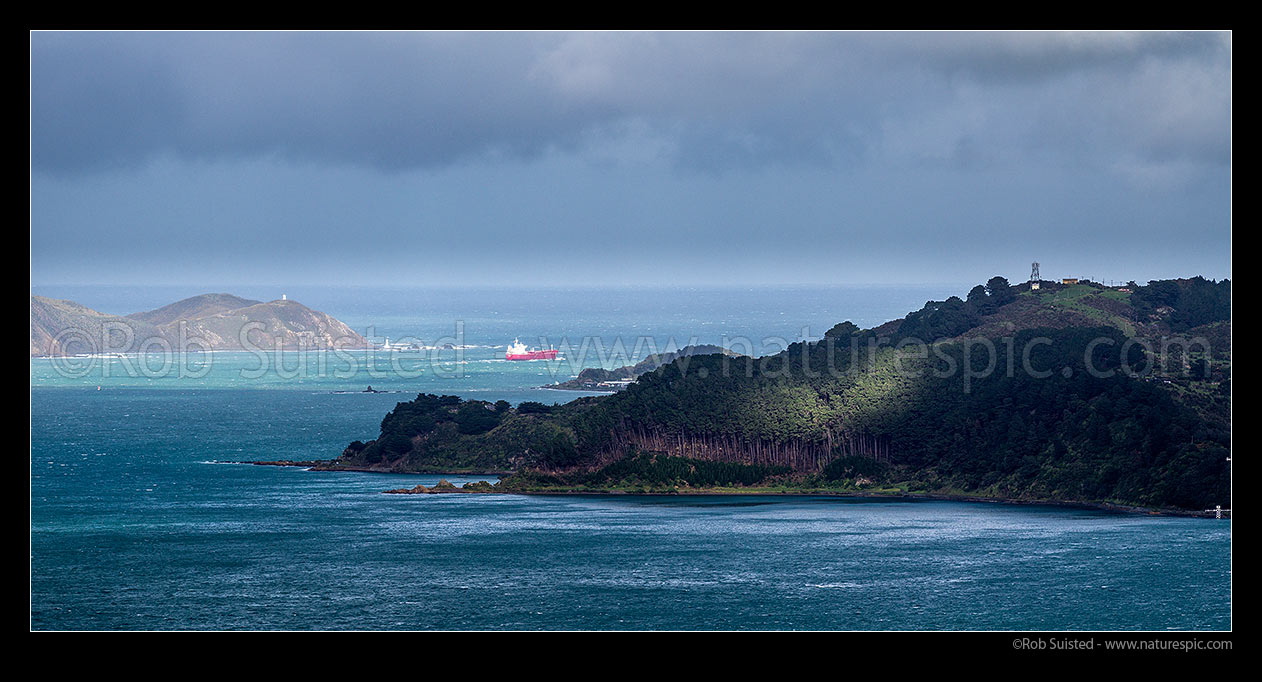 Image of Wellington Harbour entrance with ship leaving into southerly weather front. Iver Express tanker passing Pencarrow lights. Point Halswell & Kau Bay foreground. Panorama, Wellington Harbour, Wellington City District, Wellington Region, New Zealand (NZ) stock photo image