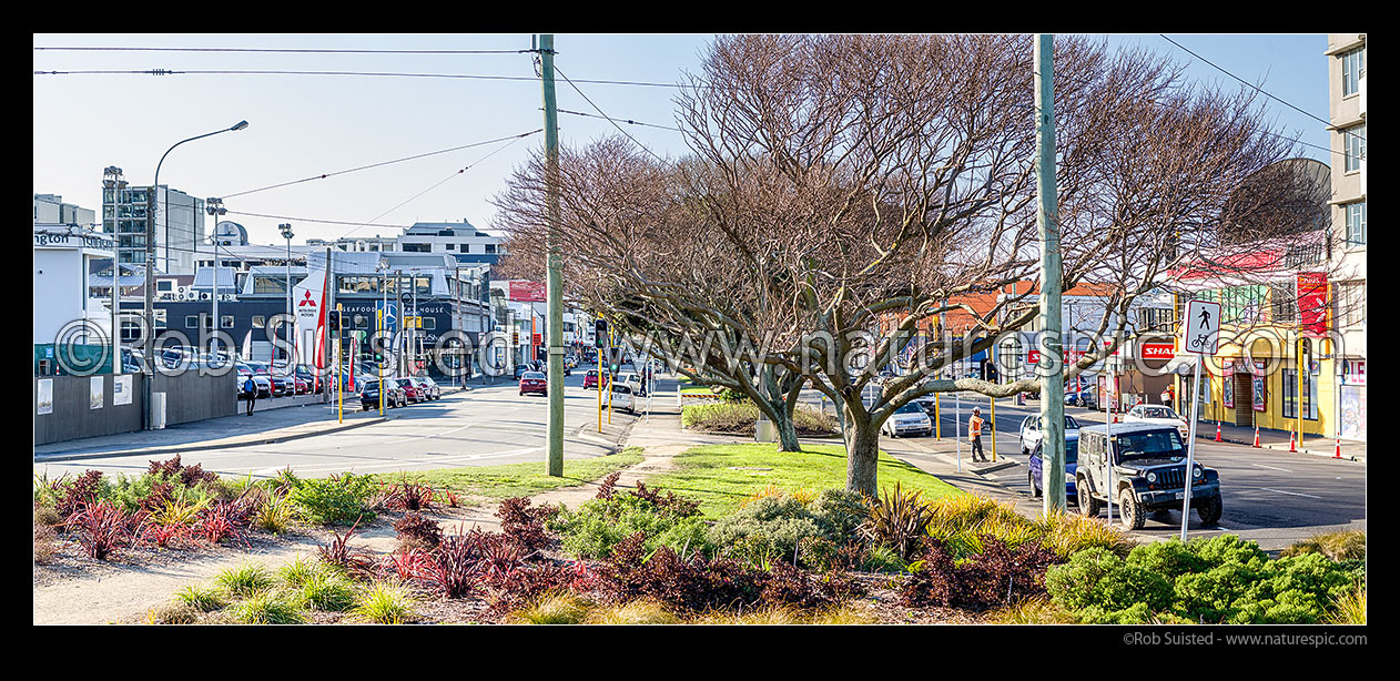 Image of Cambridge Terrace (left) and Kent Terrace (right). Panorama, Wellington, Wellington City District, Wellington Region, New Zealand (NZ) stock photo image