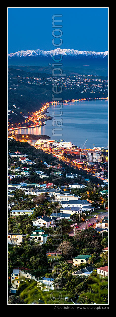 Image of Wellington City and Harbour with snow covered Tararua Ranges above SH1 and SH2 traffic to the Hutt Valley. Karoroi, Wadestown, Thorndon and Kaiwharawhara in foreground. Winter dusk. Vertical panorama, Wellington, Wellington City District, Wellington Region, New Zealand (NZ) stock photo image