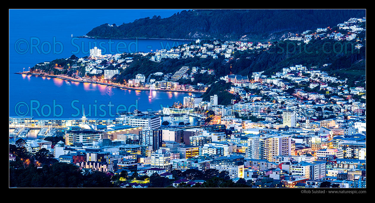 Image of Wellington City, Oriental Bay, Roseneath and Mt Victoria, seen at dusk. Point Jerningham and Halswell jutting into harbour. Panorama, Wellington, Wellington City District, Wellington Region, New Zealand (NZ) stock photo image