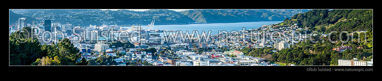 Image of Wellington City, seen from Newtown, past Basin Reserve towards the harbour. CBD and Mt Kaukau far left. Mt Victoria and Government House far right. Panorama, Wellington, Wellington City District, Wellington Region, New Zealand (NZ) stock photo image