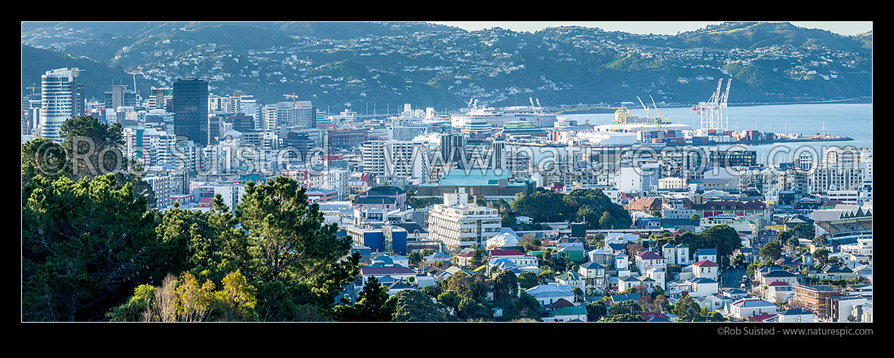 Image of Wellington Central Business District, Westpac Stadium and Port, seen from south. Wadestown and Ngaio suburbs behind. Tasman Street houses and flats foreground right. Panorama, Wellington, Wellington City District, Wellington Region, New Zealand (NZ) stock photo image