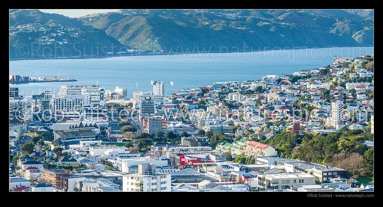 Image of Wellington inner city, looking over Basin Reserve, down Cambridge Terrace towards Harbour. Mt Victoria suburb on right. Panorama, Wellington, Wellington City District, Wellington Region, New Zealand (NZ) stock photo image