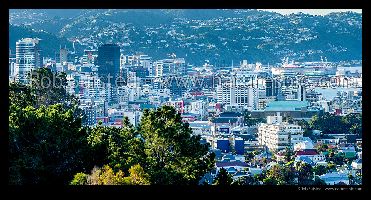 Image of Wellington Central Business District and Westpac Stadium, seen from south. Wadestown and Ngaio suburbs behind. Panorama, Wellington, Wellington City District, Wellington Region, New Zealand (NZ) stock photo image