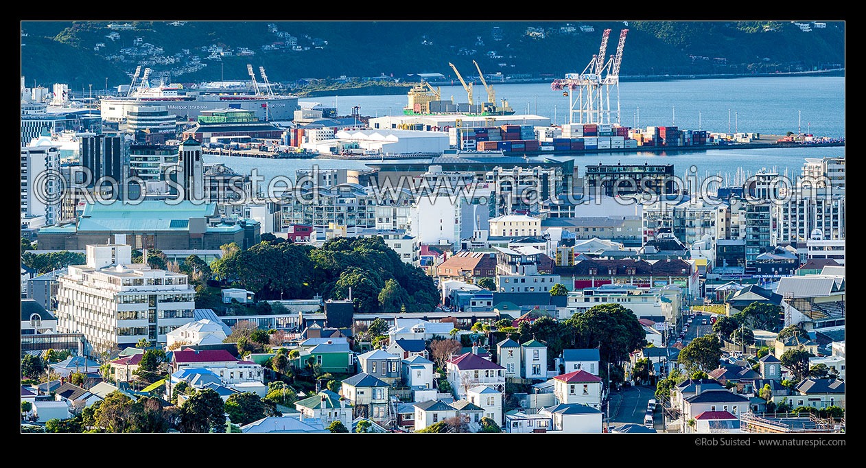 Image of Wellington inner city buildings, apartments and homes, with Westpac Stadium and Wellington Port beyond. Tasman St and Yale Road homes lower right. Panorama, Wellington, Wellington City District, Wellington Region, New Zealand (NZ) stock photo image