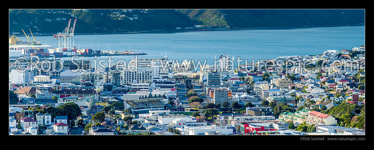 Image of Wellington inner city, looking over Basin Reserve, down Cambridge and Kent Terrace towards Harbour. Port on left, Mt Victoria suburb on right. Panorama, Wellington, Wellington City District, Wellington Region, New Zealand (NZ) stock photo image