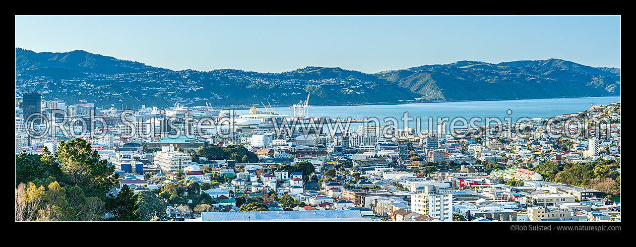 Image of Wellington inner city. CBD, Westpac Stadium and port at right, Basin Reserve, Cambridge Terrace and Mt Victoria suburbs centre right. Harbour & Northern Suburbs beyond. Panorama, Wellington, Wellington City District, Wellington Region, New Zealand (NZ) stock photo image