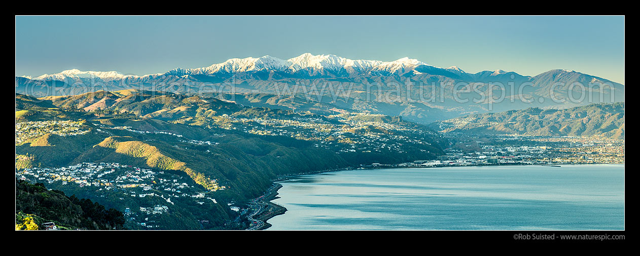 Image of Tararua Ranges and Mount Hector (1529m) above the Hutt Valley and Wellington Harbour. Winter snowfall, late afternoon. Khandallan & Newlands suburbs left, Petone far right. Panorama, Wellington, Wellington City District, Wellington Region, New Zealand (NZ) stock photo image