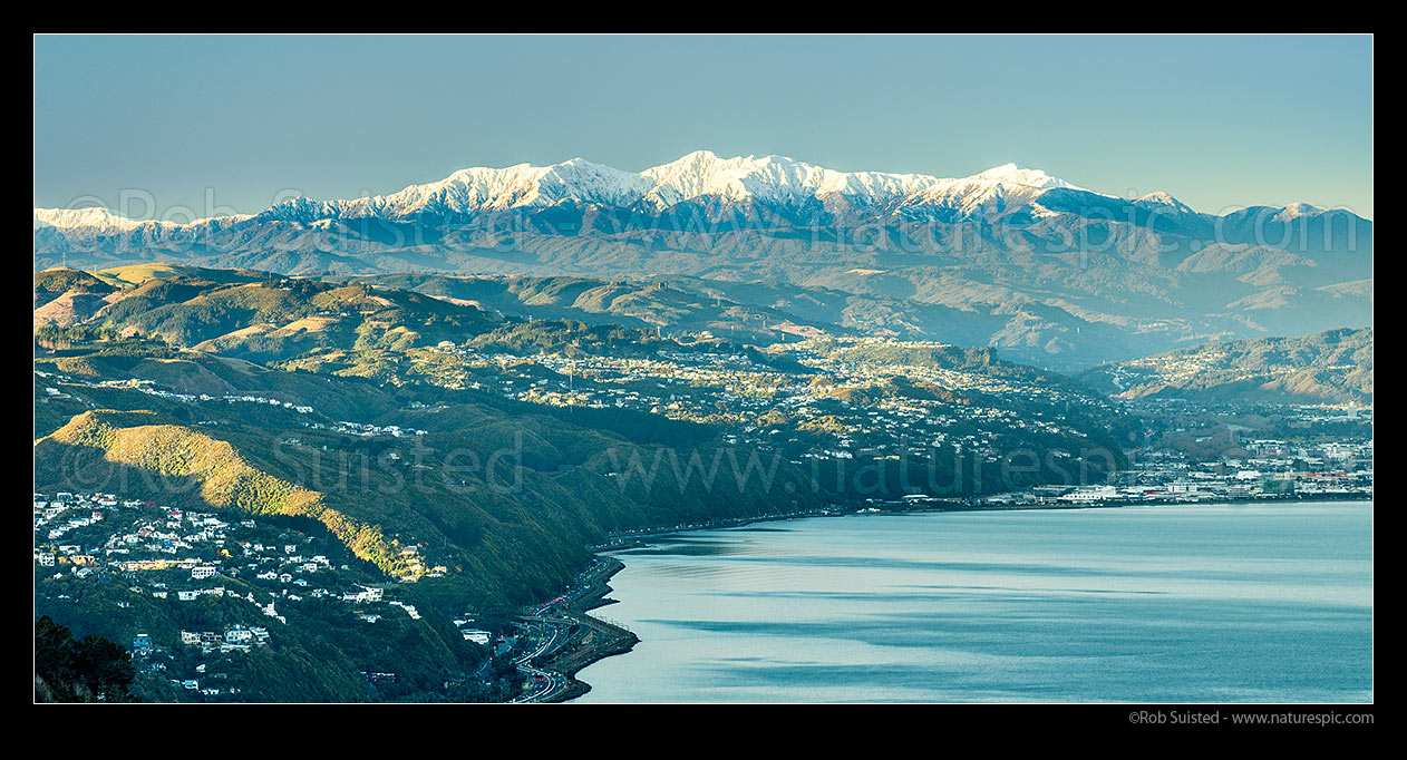 Image of Tararua Ranges and Mount Hector (1529m) above the Hutt Valley and Wellington Harbour. Winter snowfall, late afternoon. Khandallan & Newlands suburbs left. Panorama, Wellington, Wellington City District, Wellington Region, New Zealand (NZ) stock photo image