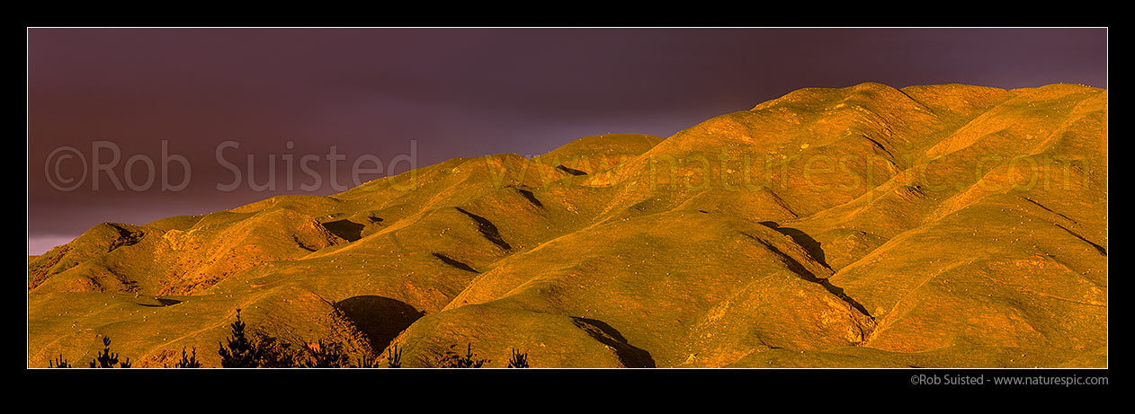 Image of Hills and farmland of Belmont Regional Park above Cannons Creek headwaters and Takapu Valley, in moody evening sunlight. Panorama, Belmont Regional Park, Porirua City District, Wellington Region, New Zealand (NZ) stock photo image