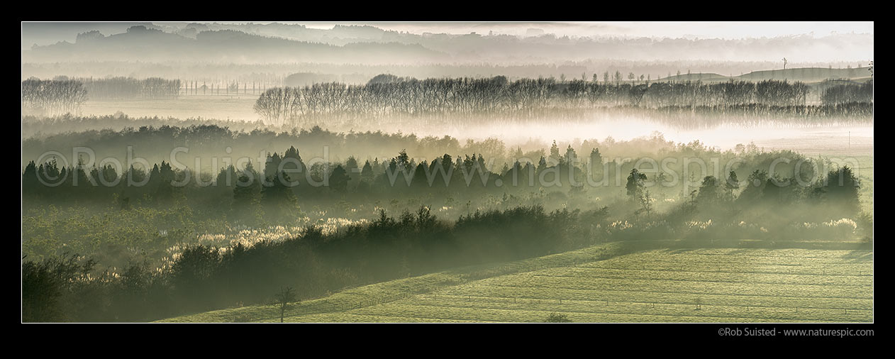 Image of Waikato River valley farmland, early morning river mist amongst trees and farmland. Panorama, Te Kohanga, Franklin District, Waikato Region, New Zealand (NZ) stock photo image