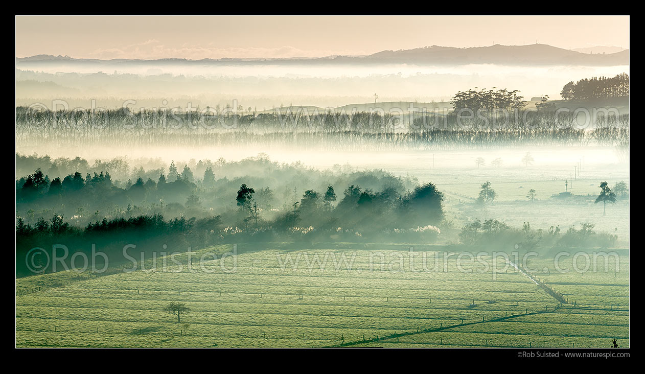 Image of Waikato River valley farmland with early morning river mist and sun rays. Water drainage channels visible in paddocks. Panorama, Te Kohanga, Franklin District, Waikato Region, New Zealand (NZ) stock photo image