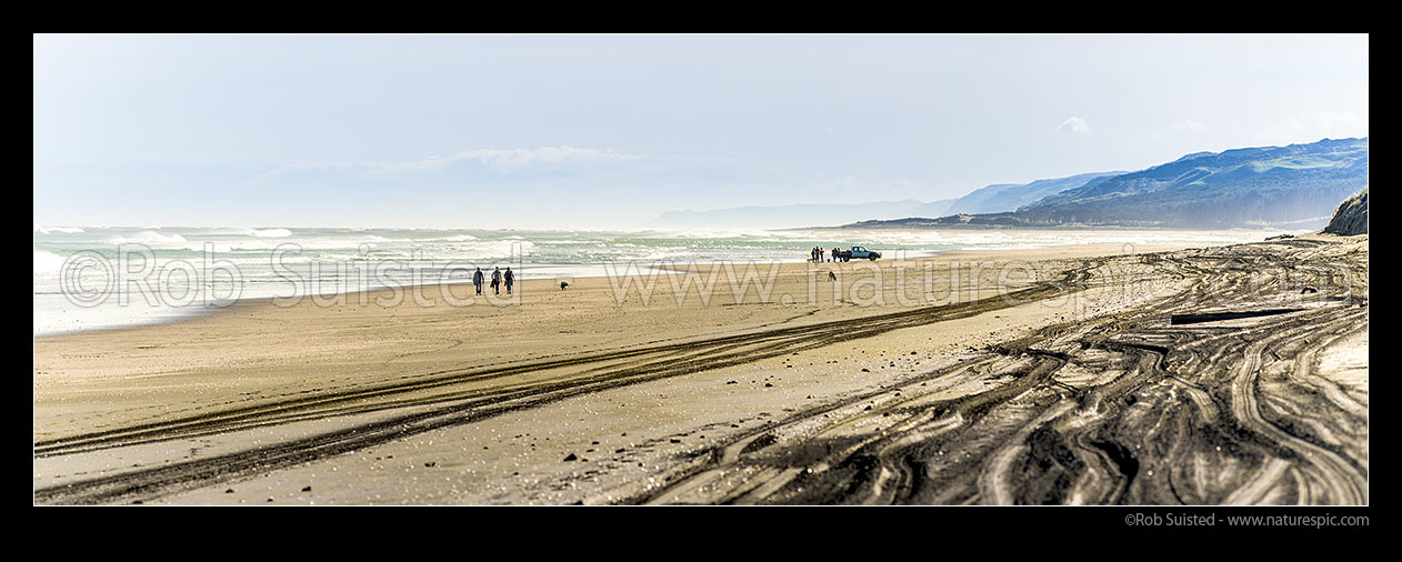 Image of Port Waikato Beach panorama with dog walkers, and people fishing with longline from 4x4 ute. Waikato, Port Waikato, Franklin District, Waikato Region, New Zealand (NZ) stock photo image