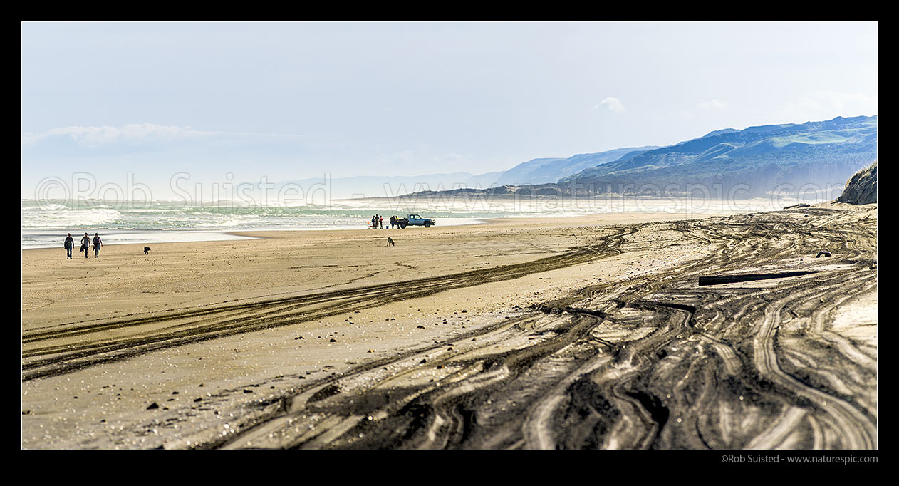 Image of Port Waikato Beach panorama with dog walkers, and people fishing with longline from 4x4 ute. Waikato, Port Waikato, Franklin District, Waikato Region, New Zealand (NZ) stock photo image