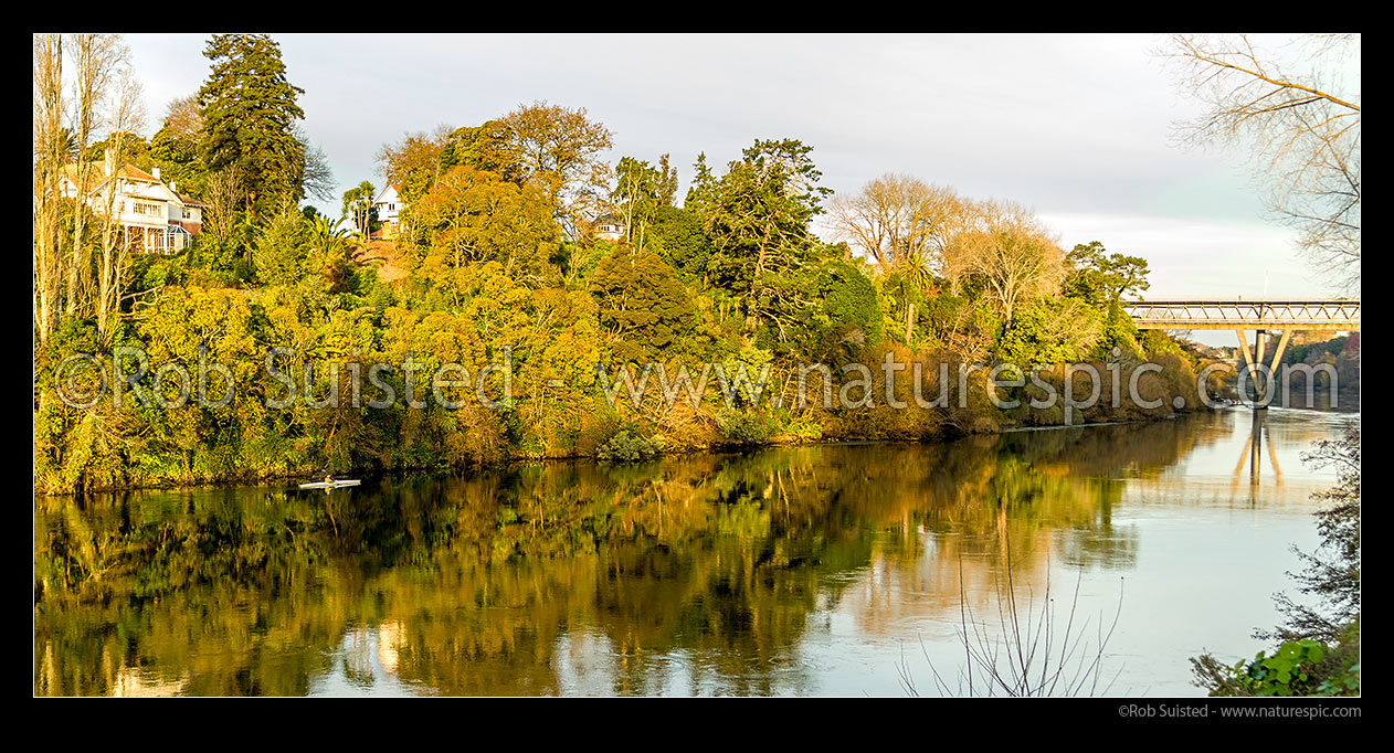 Image of Waikato River sunset near Hamilton Central, with lone kayaker paddling upstream past homes towards Claudelands Bridge. Panorama, Hamilton, Hamilton City District, Waikato Region, New Zealand (NZ) stock photo image