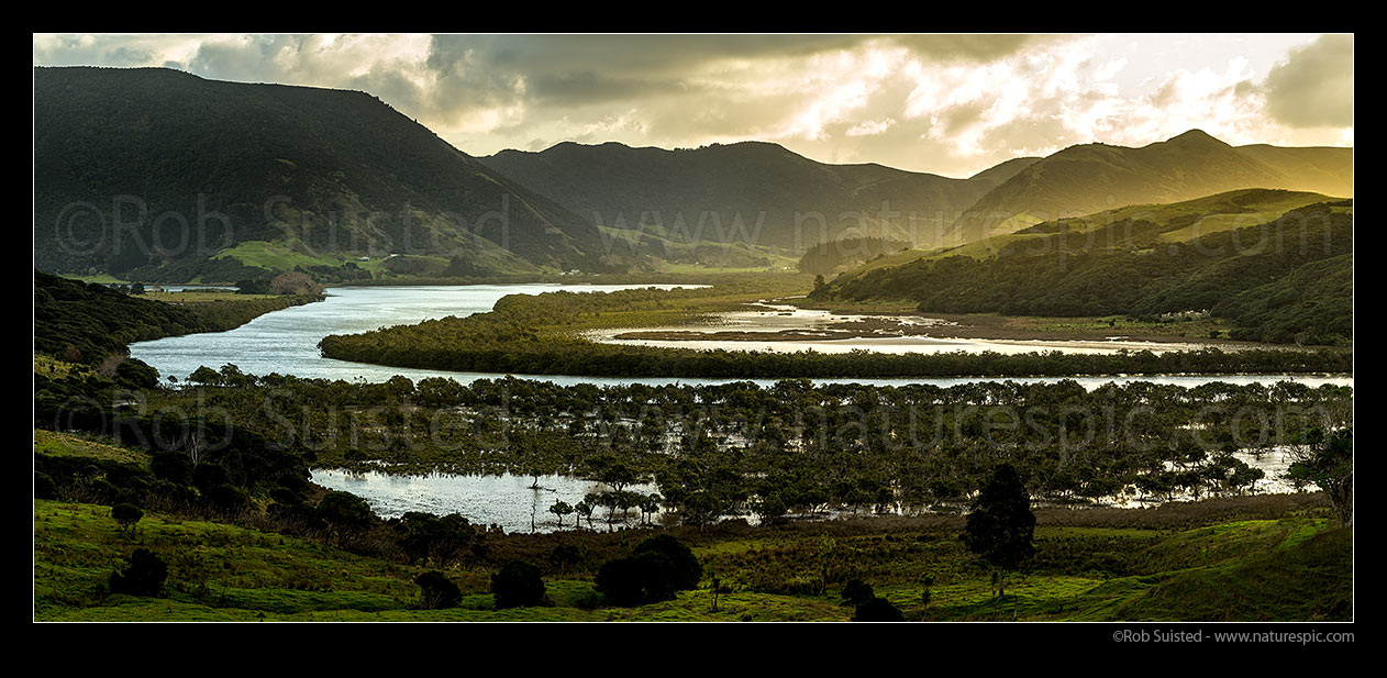 Image of Whangape Harbour and Awaroa River, looking towards Whangape beyond tidal mangrove forests, with beautiful evening sunlight. Panorama, Whangape, Far North District, Northland Region, New Zealand (NZ) stock photo image