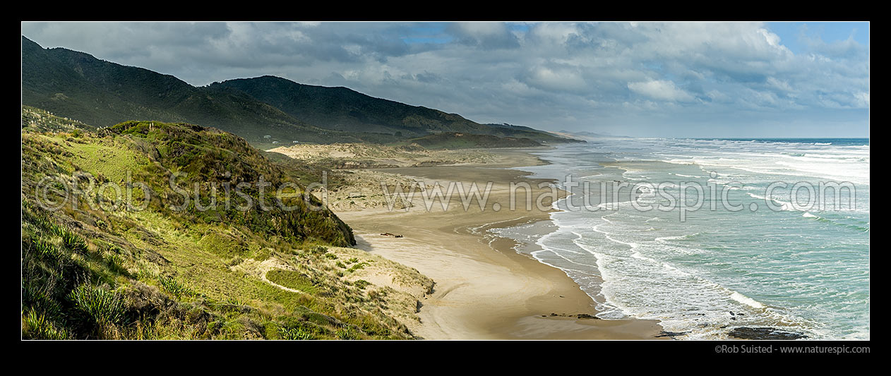 Image of Mitimiti Beach panorama of golden sand beach on the West Coast of Northland, on a moody weather day, Mitimiti, Far North District, Northland Region, New Zealand (NZ) stock photo image