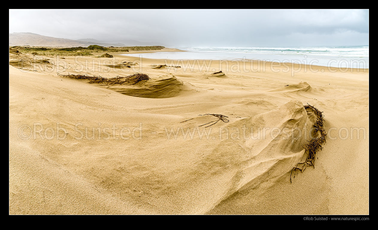 Image of Tauroa Peninsula Beach, with wind formed sand scultures near Tanutanu Stream. Ahipara Conservation Area. Panorama, Ahipara, Far North District, Northland Region, New Zealand (NZ) stock photo image