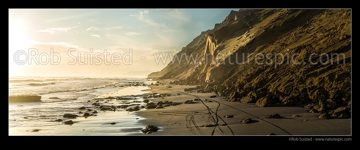 Image of Awhitu Peninsula west coast beach at Hamilton's Gap, looking north towards Whatipu and Manukau Harbour entrance. Panorama, Awhitu Peninsula, Papakura District, Auckland Region, New Zealand (NZ) stock photo image