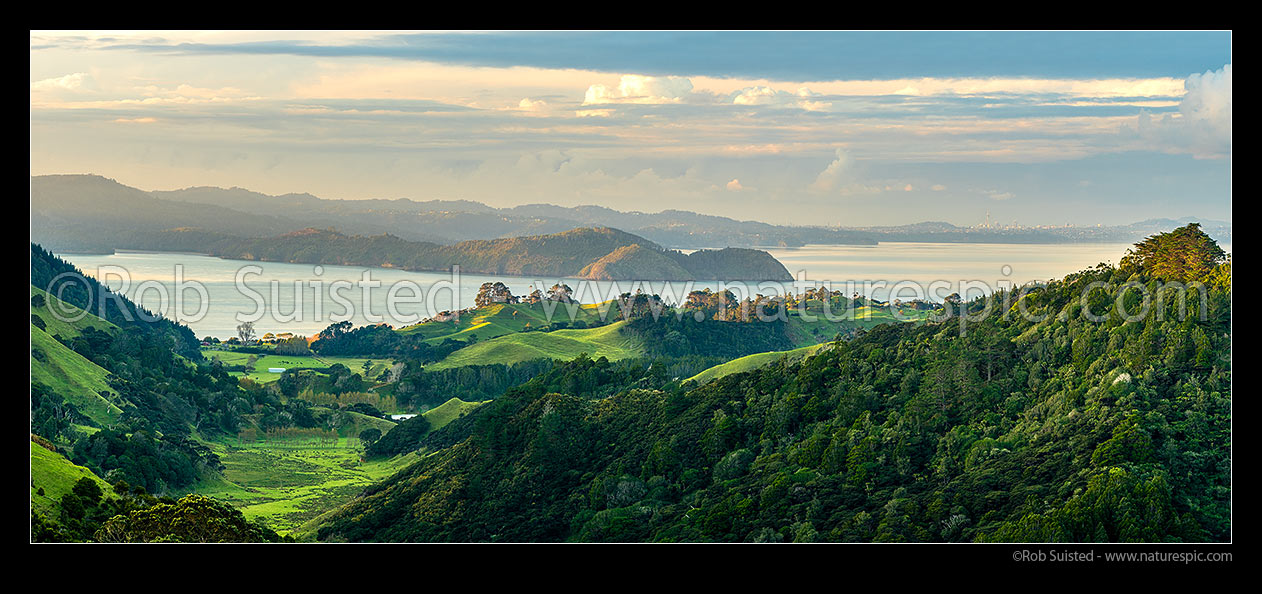 Image of Awhitu farmland, looking over Wattle Bay and Manukau Harbour, to Cornwallis Peninsula and West Auckland to Auckland City distant right, Awhitu Peninsula, Papakura District, Auckland Region, New Zealand (NZ) stock photo image