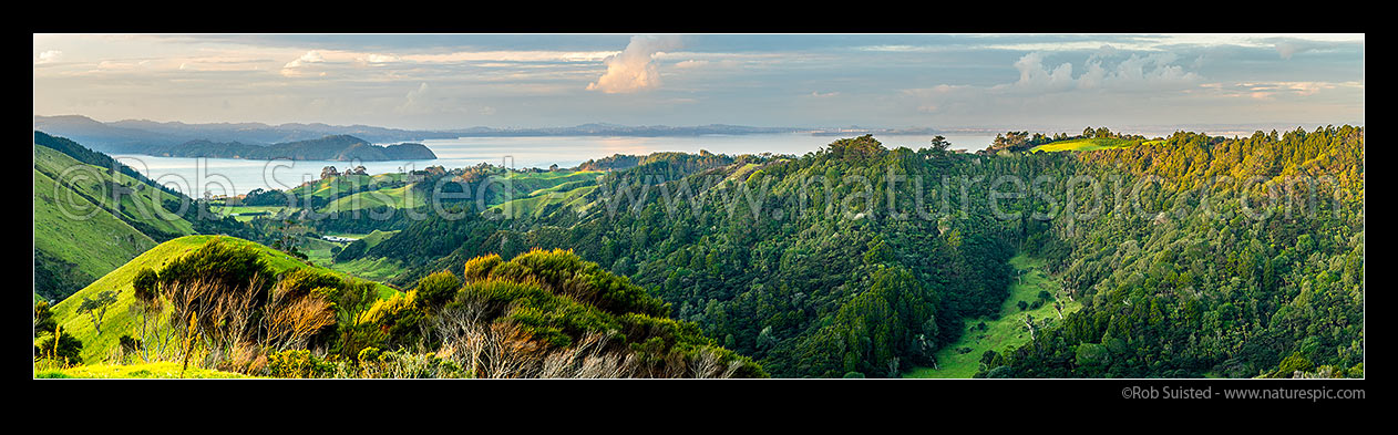 Image of Awhitu Peninsula, looking towards Manukau Harbour with Wattle Bay and Cornwallis Peninsula at left, Auckland City distant centre. Panorama, Awhitu Peninsula, Papakura District, Auckland Region, New Zealand (NZ) stock photo image