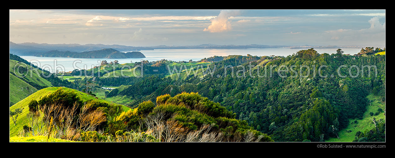 Image of Awhitu Peninsula, looking towards Manukau Harbour with Wattle Bay and Cornwallis Peninsula at left, Auckland City and Sky Tower visible centre distance. Panorama, Awhitu Peninsula, Papakura District, Auckland Region, New Zealand (NZ) stock photo image