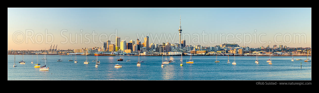 Image of Auckland City Skyline, CBD, and moored sailboats, seen from across the Waitemata Harbour on a calm morning. Panorama as golden sun lights the city at dawn, Auckland, Auckland City District, Auckland Region, New Zealand (NZ) stock photo image