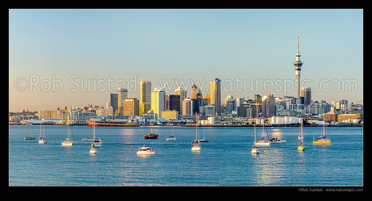 Image of Auckland City CBD, Sky Tower, and moored sailboats in the Waitemata Harbour on a calm morning. Panorama of Auckland Skyline at dawn, Auckland, Auckland City District, Auckland Region, New Zealand (NZ) stock photo image