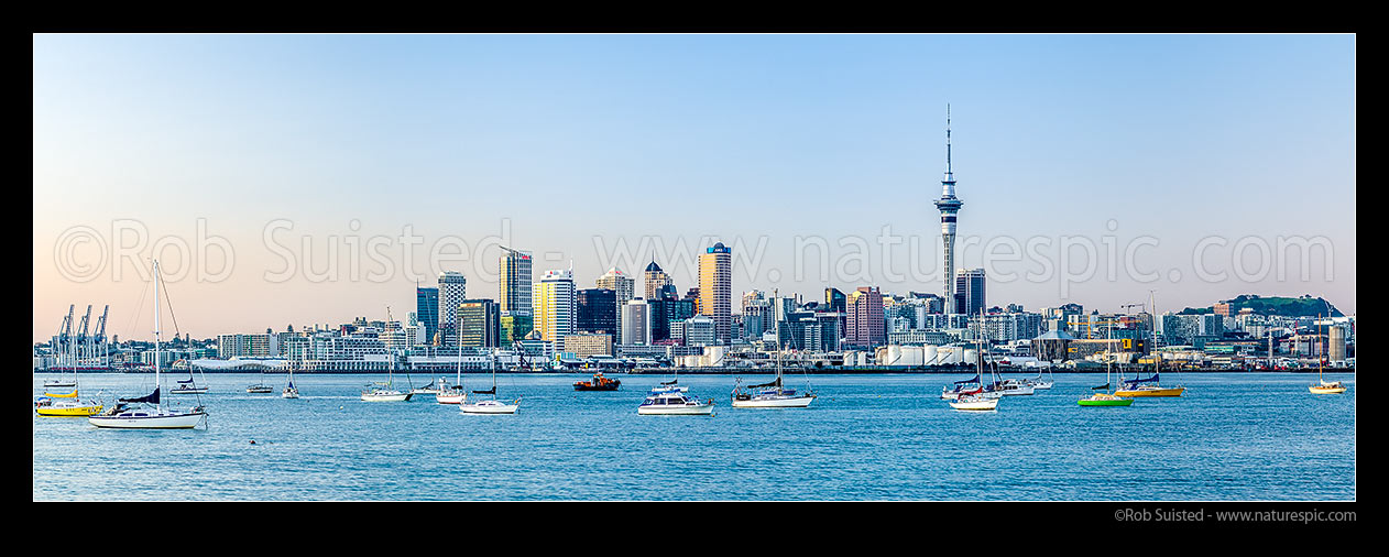 Image of Auckland City CBD, Sky Tower, and moored sailboats in the Waitemata Harbour on a calm pre-dawn morning. Panorama of Auckland Skyline, Auckland, Auckland City District, Auckland Region, New Zealand (NZ) stock photo image