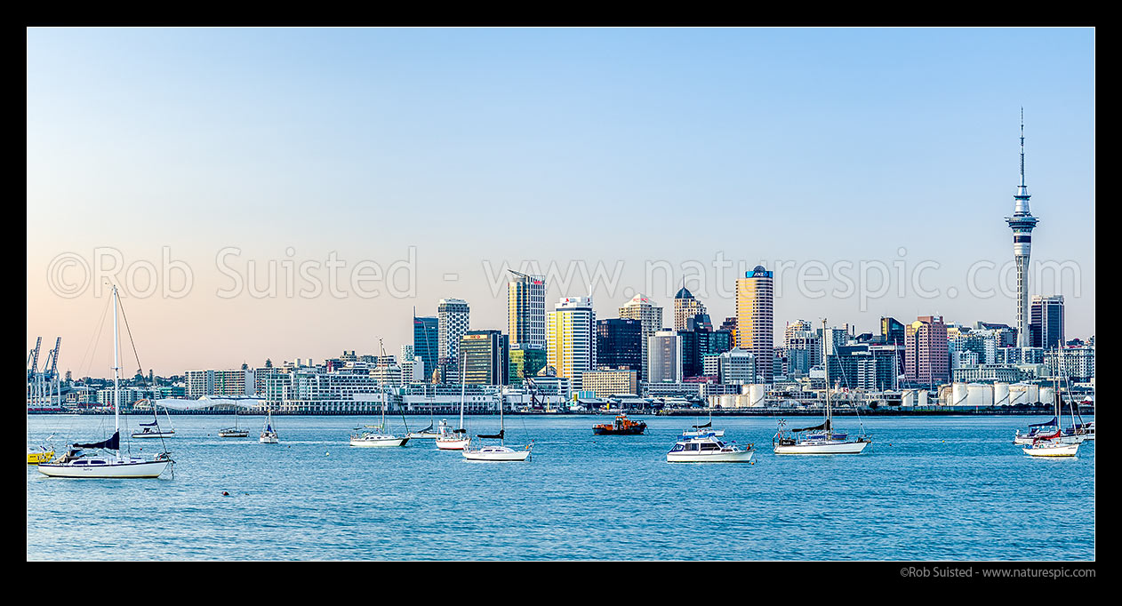 Image of Auckland City CBD, Sky Tower, and moored sailboats in the Waitemata Harbour on a calm pre-dawn morning. Panorama of Auckland Skyline, Auckland, Auckland City District, Auckland Region, New Zealand (NZ) stock photo image