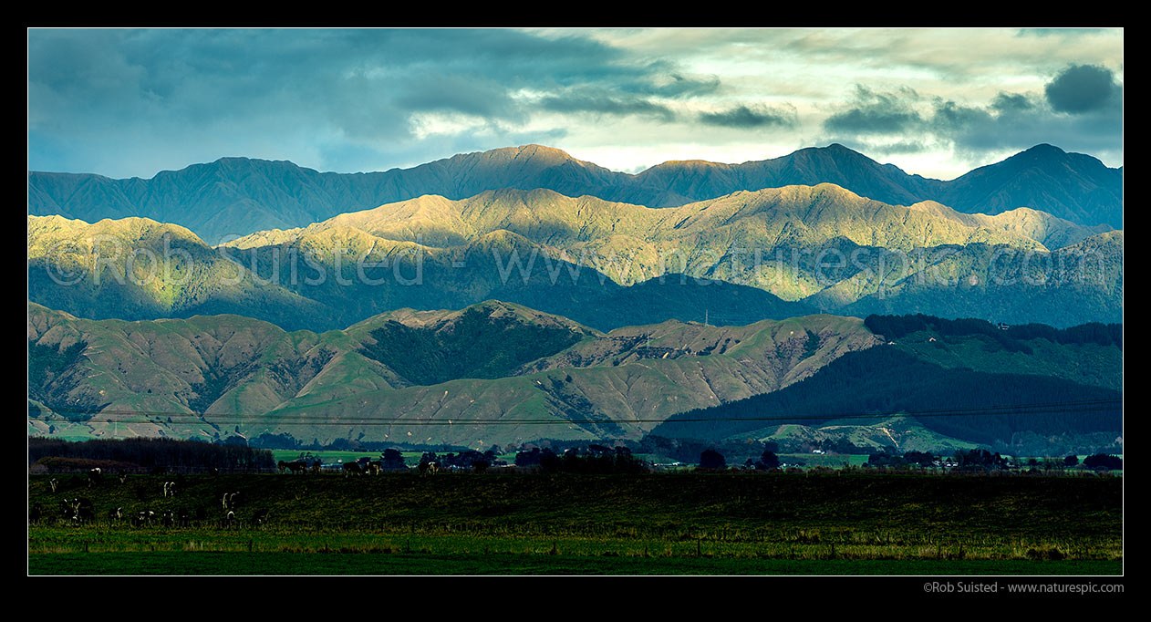 Image of Tararua Ranges and foothills. Walker (1392m), Pukemoremore Peak (1474m) centre, Logan (1500m) and Mt Dundas (1499m) far right. Koputaroa foreground. Panorama, Foxton, Horowhenua District, Manawatu-Wanganui Region, New Zealand (NZ) stock photo image