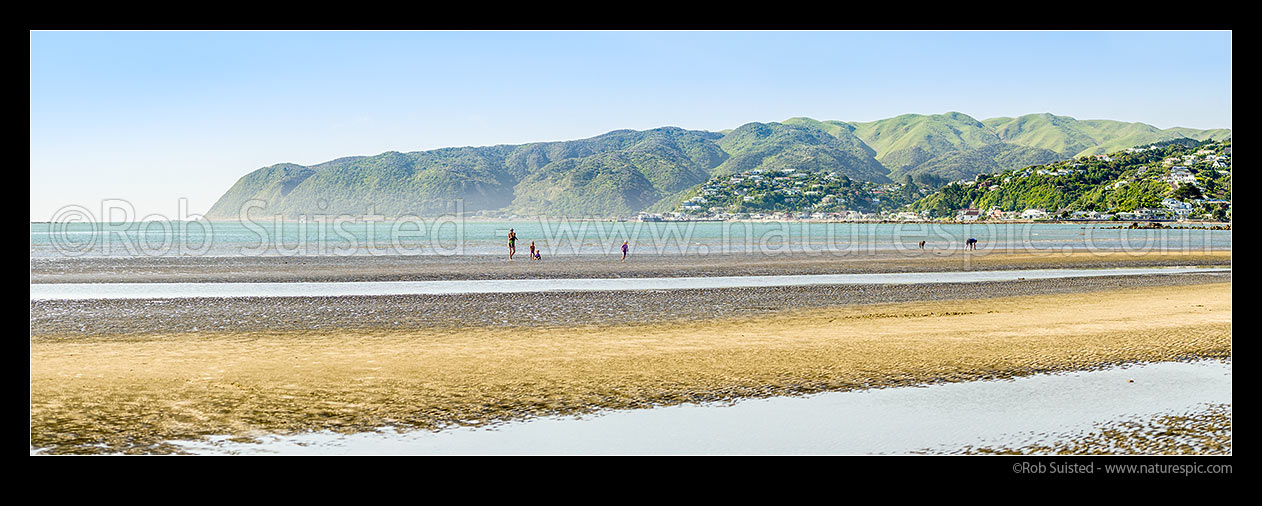 Image of Mother and children on Mana Beach at Goat Point with Plimmerton and Karehana Bay behind. Te Rewarewa Point far left. Panorama, Mana, Plimmerton, Porirua City District, Wellington Region, New Zealand (NZ) stock photo image