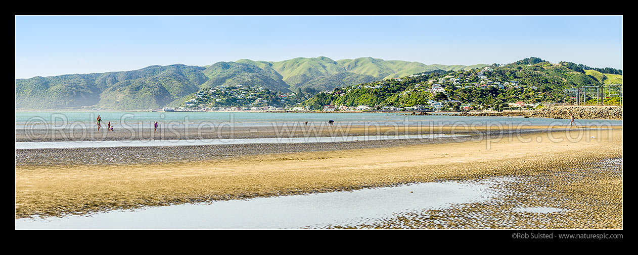 Image of People visiting Mana Beach at Goat Point with Plimmerton Beach and Karehana Bay behind. Mother and children enjoying summer day at beach. Panorama, Mana, Plimmerton, Porirua City District, Wellington Region, New Zealand (NZ) stock photo image