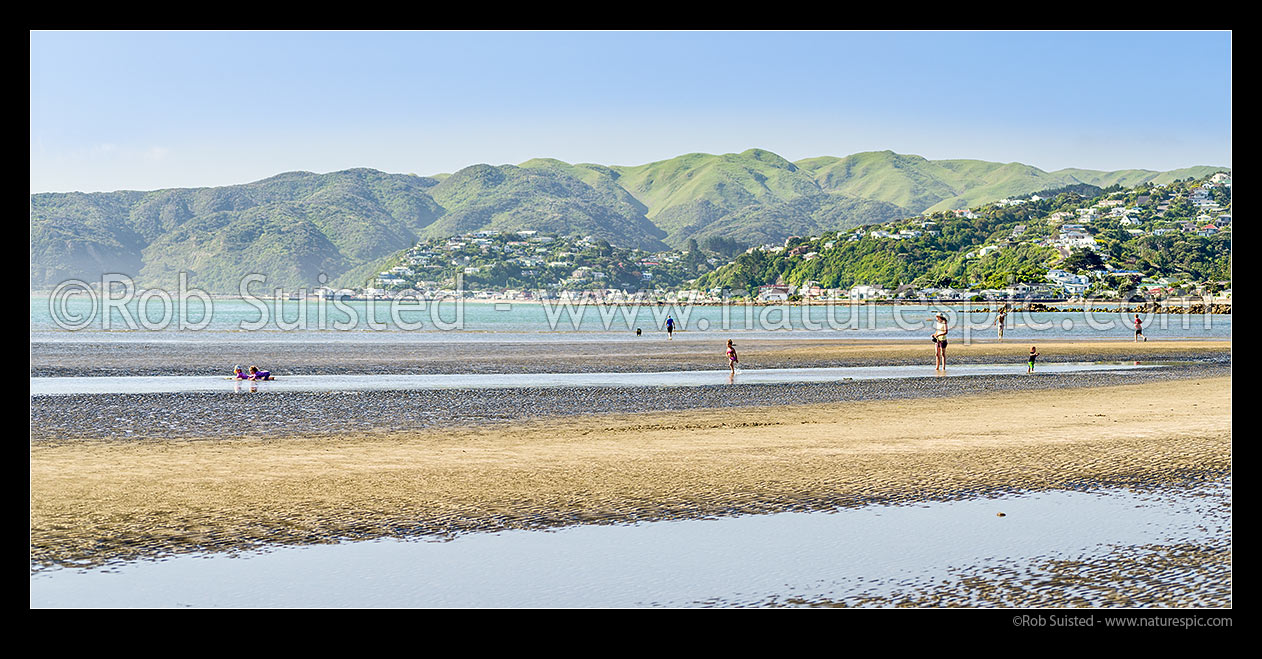 Image of Family enjoying Mana Beach. Mother with young children playing in shallow water. Plimmerton suburb behind. Panorama, Mana, Plimmerton, Porirua City District, Wellington Region, New Zealand (NZ) stock photo image