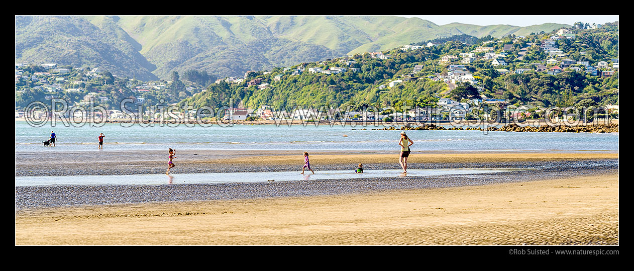 Image of Young family enjoying Mana Beach. Mother with toddlers playing in shallow water. Plimmerton suburb behind. Panorama, Mana, Plimmerton, Porirua City District, Wellington Region, New Zealand (NZ) stock photo image