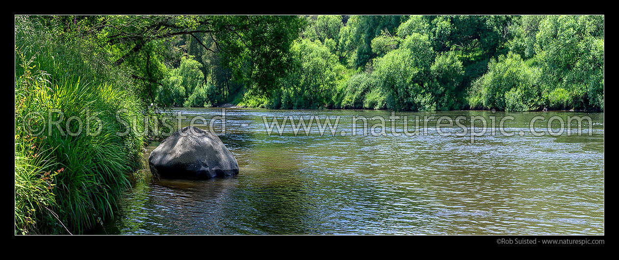 Image of Whanganui River, with Whanganui National Park behind. Near Te Maire. Panorama, Taumarunui, Ruapehu District, Manawatu-Wanganui Region, New Zealand (NZ) stock photo image