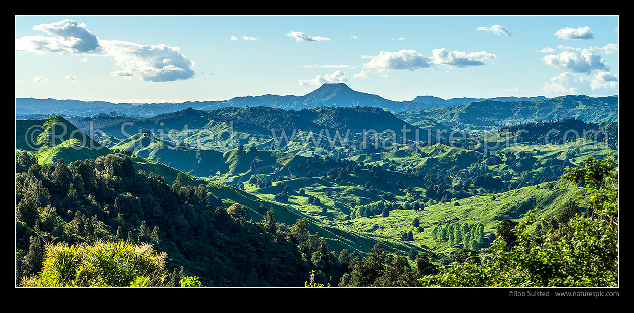 Image of Central North Island farmland and hill country, with Hikurangi Peak (771m) above, near Ngakonui and Okahukura. Panorama, Taumarunui, Ruapehu District, Manawatu-Wanganui Region, New Zealand (NZ) stock photo image