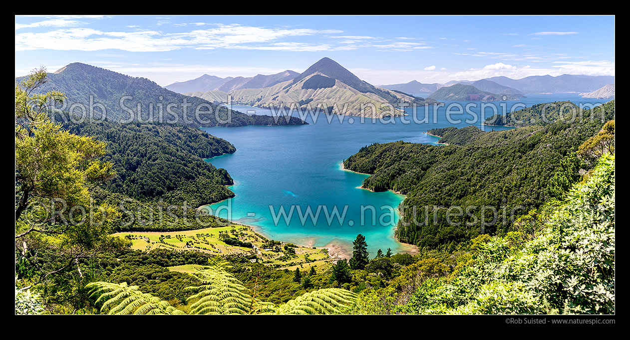 Image of Marlborough Sounds. Fitzroy Bay in Pelorus Sound, with Savill Bay in foreground, Mt Shewell (775m) centre. Tawhitinui Reach far right. Panorama, Marlborough Sounds, Marlborough District, Marlborough Region, New Zealand (NZ) stock photo image