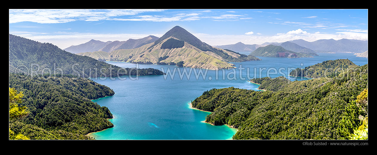 Image of Fitzroy Bay in Pelorus Sound, Marlborough Sounds. Mt Shewell (775m) centre. Maud Island and Tawhitinui Reach far right. Panorama, Marlborough Sounds, Marlborough District, Marlborough Region, New Zealand (NZ) stock photo image