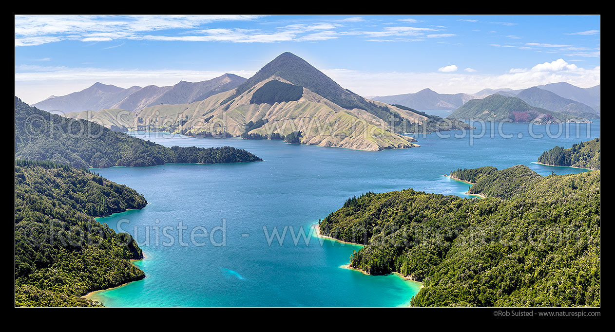 Image of Savill Bay and Fitzroy Bay in Pelorus Sound, Marlborough Sounds. Game Point and Mt Shewell (775m) above. Maud Island far right. Panorama, Marlborough Sounds, Marlborough District, Marlborough Region, New Zealand (NZ) stock photo image