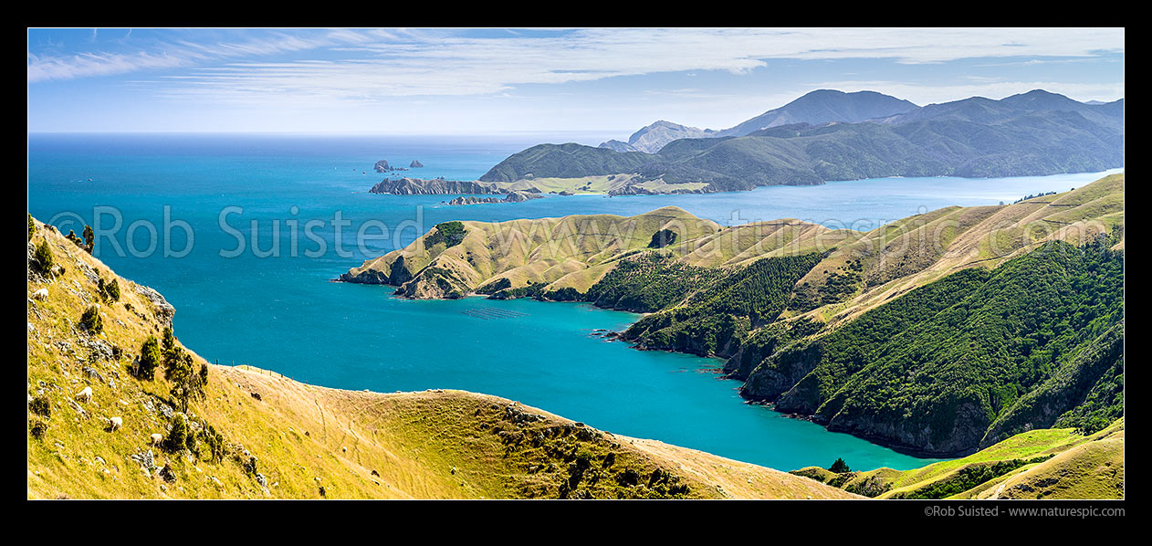 Image of Okuri Bay, French Pass, with D'Urville Island and Tasman Bay behind. Panorama, French Pass, Marlborough Sounds, Marlborough District, Marlborough Region, New Zealand (NZ) stock photo image