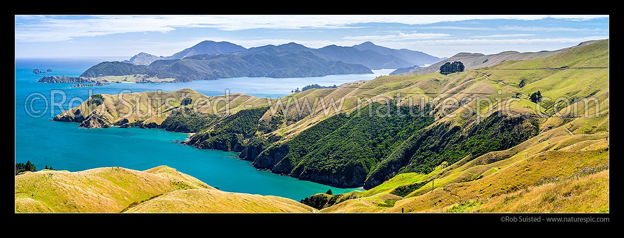 Image of Okuri Bay, French Pass farmland and native forest. D'Urville Island and Tasman Bay behind. Panorama, French Pass, Marlborough Sounds, Marlborough District, Marlborough Region, New Zealand (NZ) stock photo image