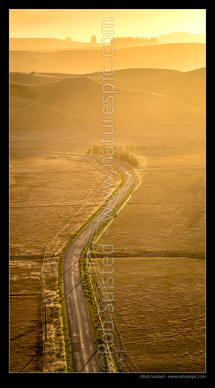 Image of Marfells Beach Road at dawn with Marlborough Lines powerlines heading towards Hauwai. Golden sunrise. Vertical panorama, Lake Grassmere, Marlborough District, Marlborough Region, New Zealand (NZ) stock photo image