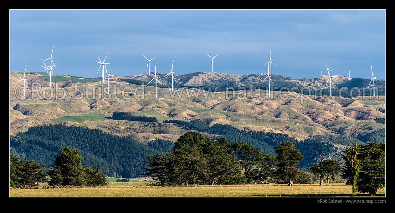 Image of Wind turbines generating electricity in the Tararua Wind Farm, owned and operated by TrustPower. Panorama, Ashurst, Palmerston North City District, Manawatu-Wanganui Region, New Zealand (NZ) stock photo image