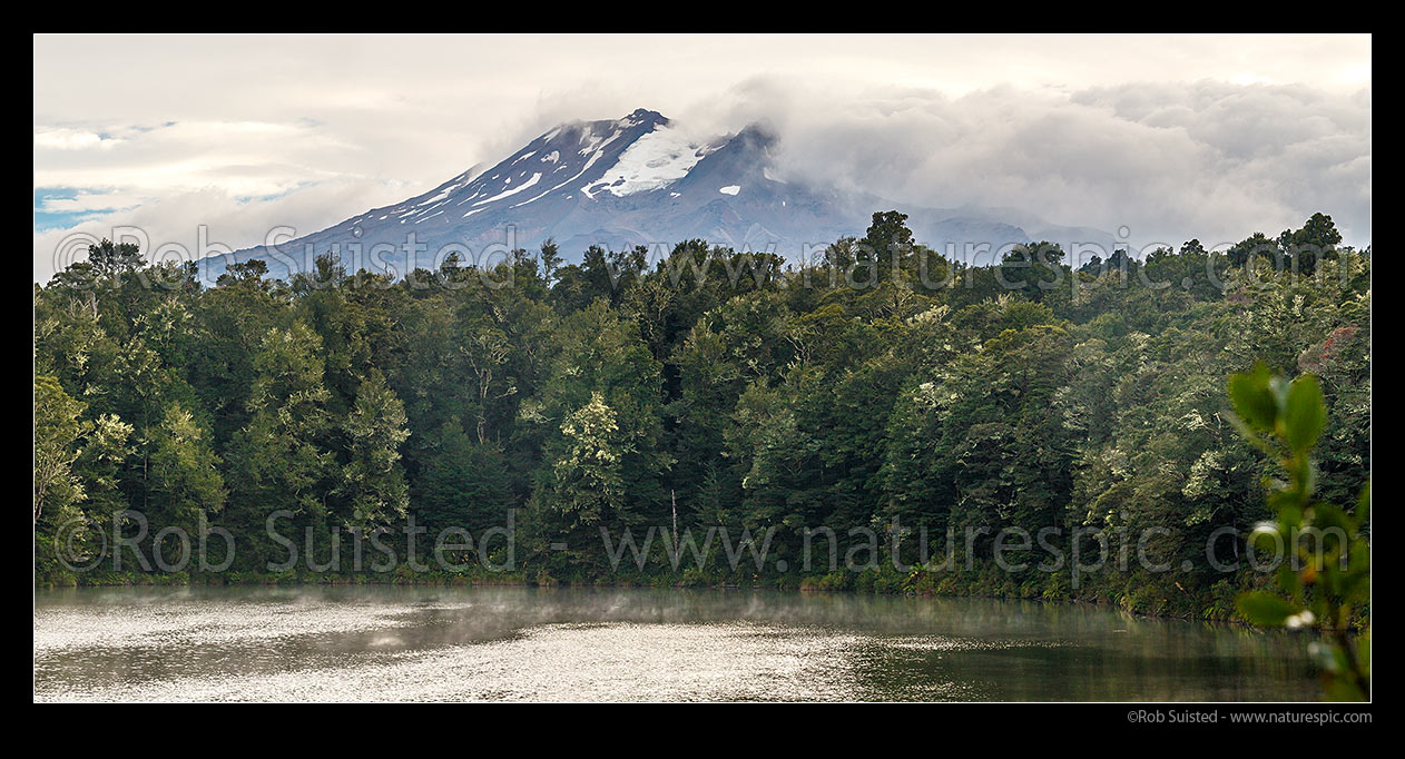 Image of Lake Rotokura nestled amongst forest under Mount (Mt) Ruapehu. Sacred tapu site for Ngati Rangi, tangata whenua. Panorama, Karioi, Ruapehu District, Manawatu-Wanganui Region, New Zealand (NZ) stock photo image