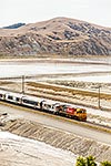 Train passing Lake Grassmere