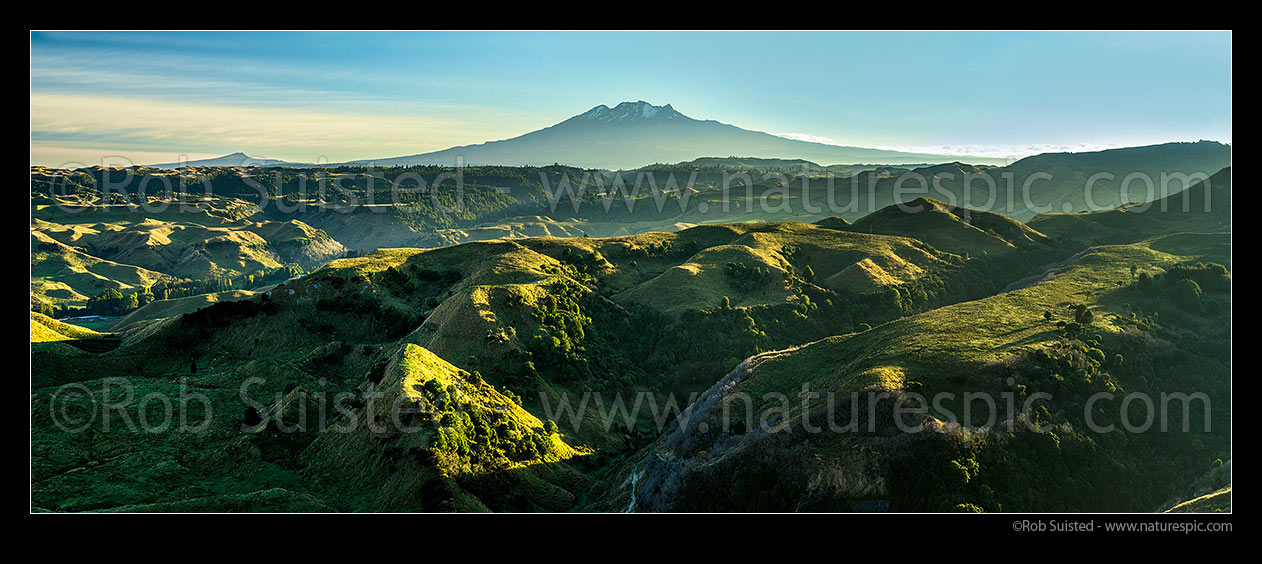 Image of Ohakune farmland panorama at dawn. Mount (Mt) Ruapehu (2797m) and Tongariro National Park above. Ararawa Stream, Ohakune, Ruapehu District, Manawatu-Wanganui Region, New Zealand (NZ) stock photo image