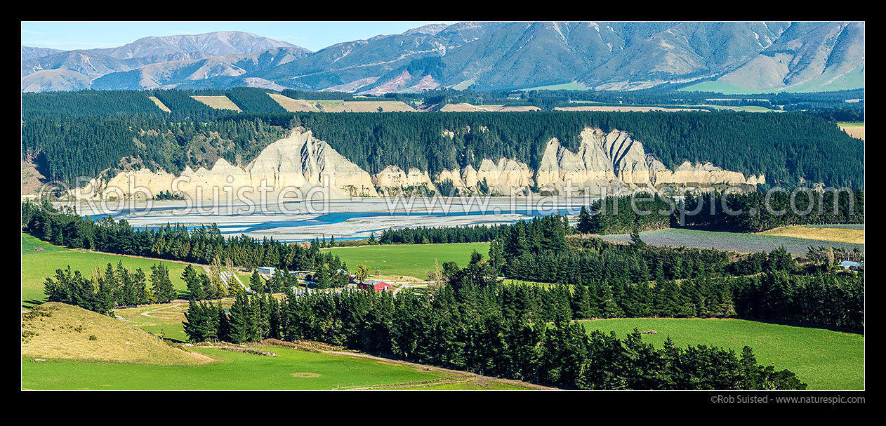 Image of Rakaia River running through farmland and plantation forestry. Mt Hutt Range behind. Panorama, Rakaia Gorge, Ashburton District, Canterbury Region, New Zealand (NZ) stock photo image